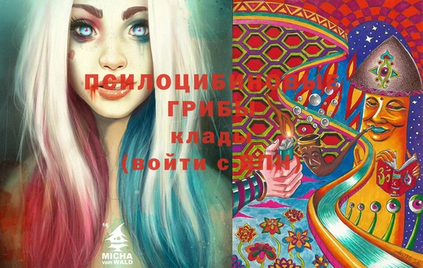 соль ск Алексеевка